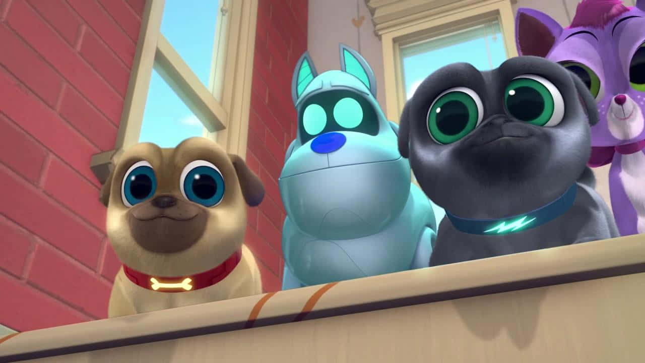 Get Out There And Explore With Puppy Dog Pals! Background