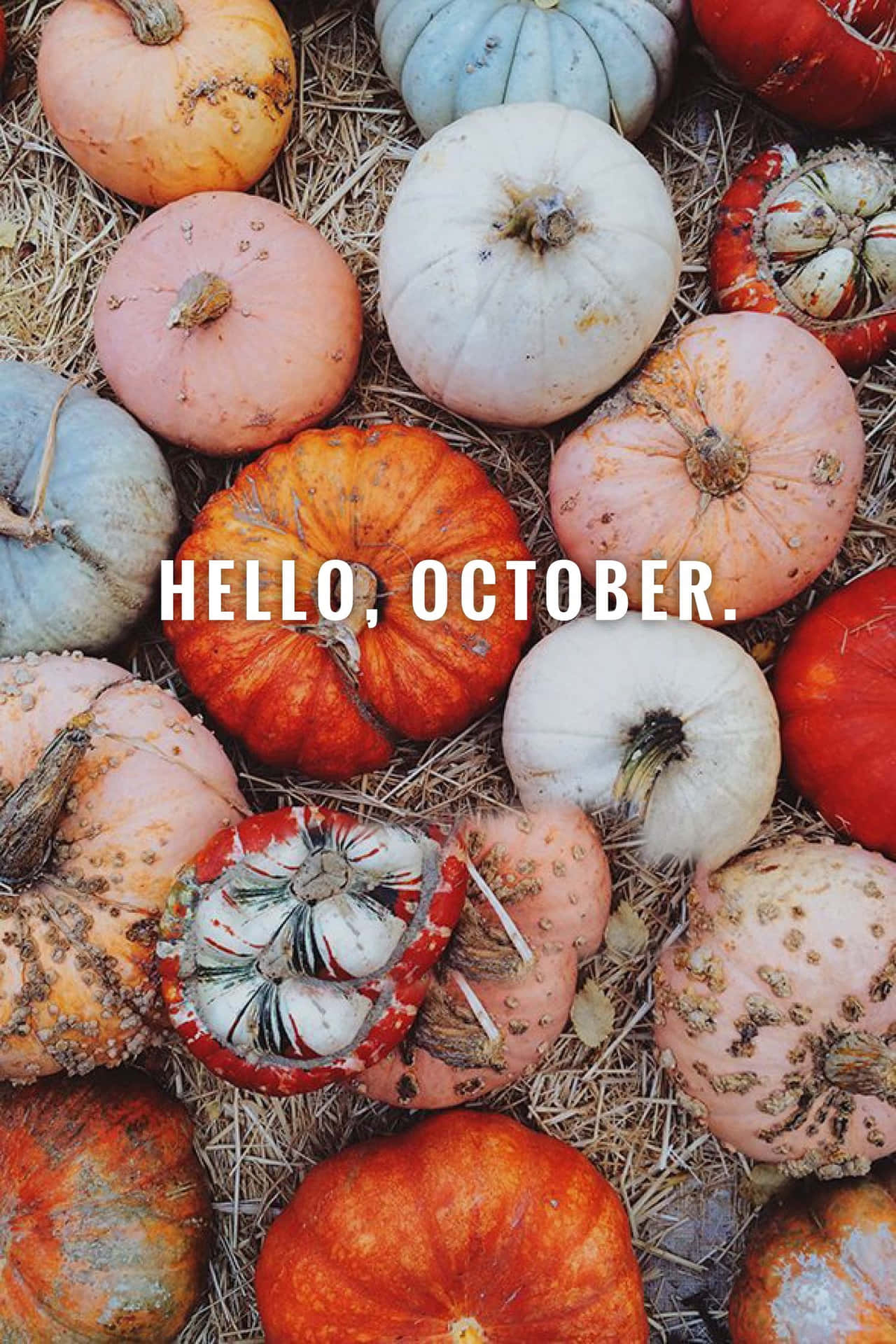 Get Ready For A Festive October With A Pumpkin! Background