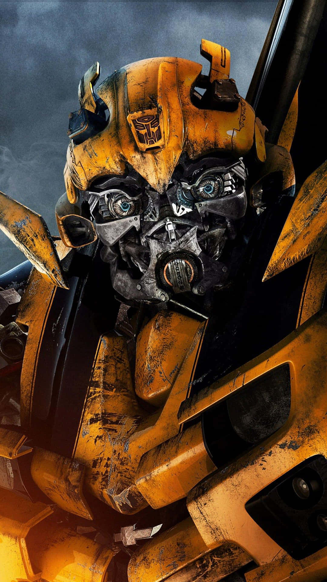 Get Ready For A Thrilling Adventure With Bumblebee Background