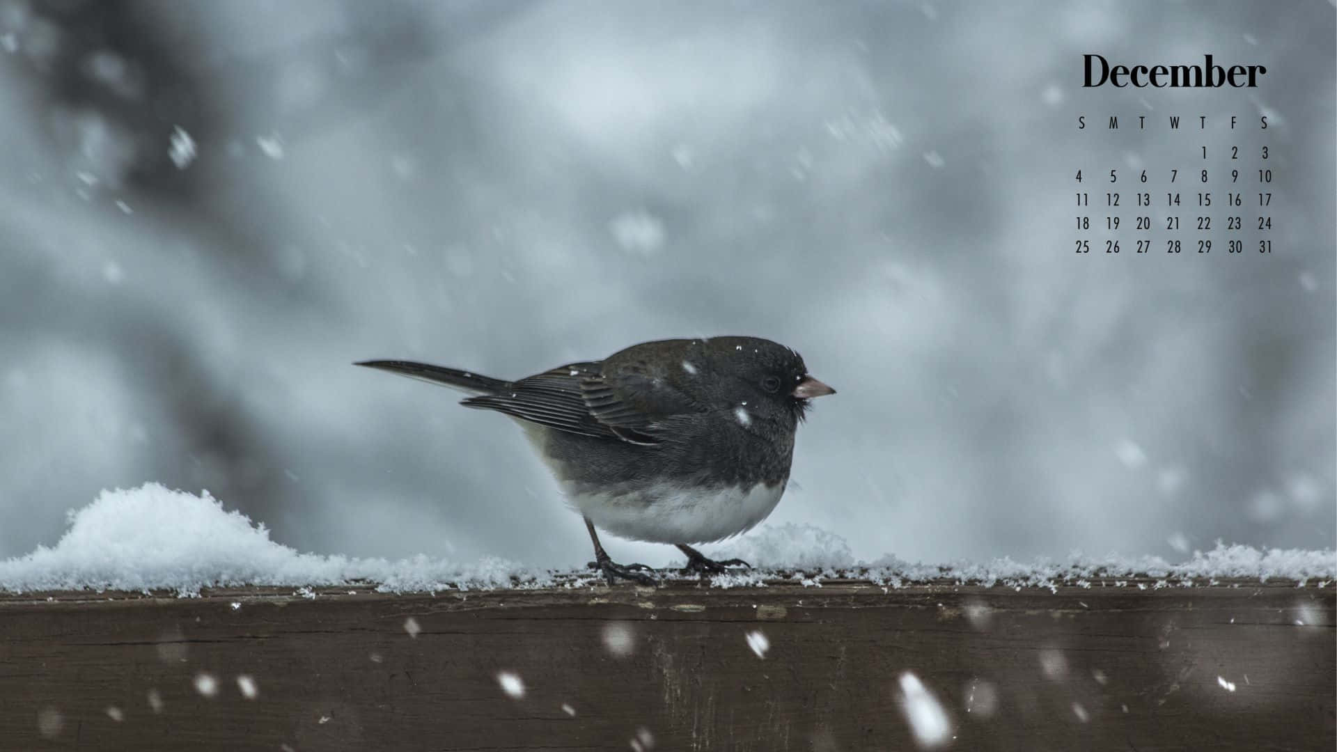 Get Ready For An Enchanting December Background