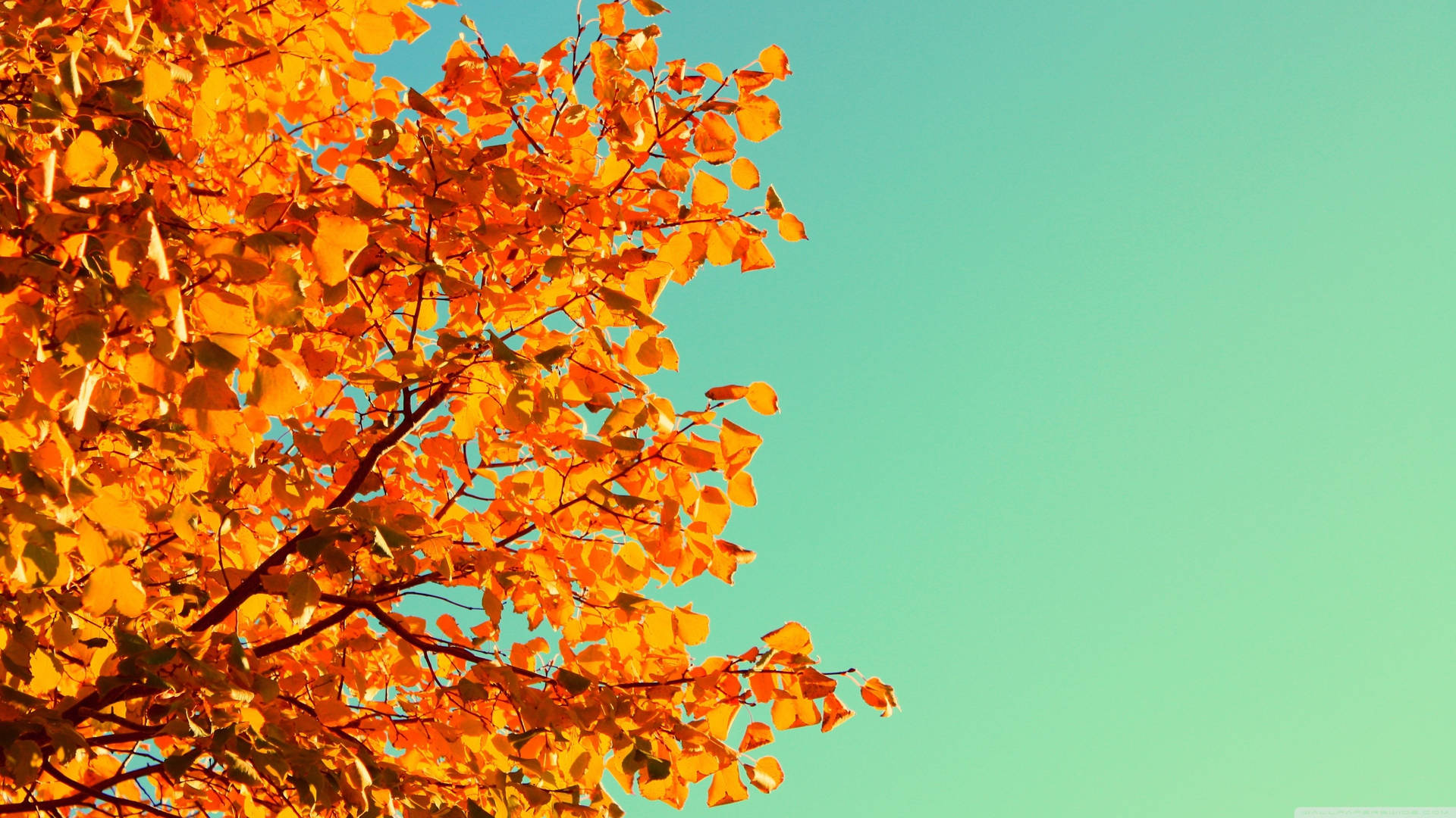 Get Ready For Autumn With This Cute October Scene Background