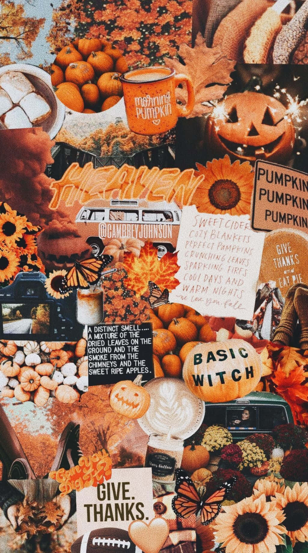 Get Ready For Halloween With The Perfect Fall Iphone Wallpaper. Background