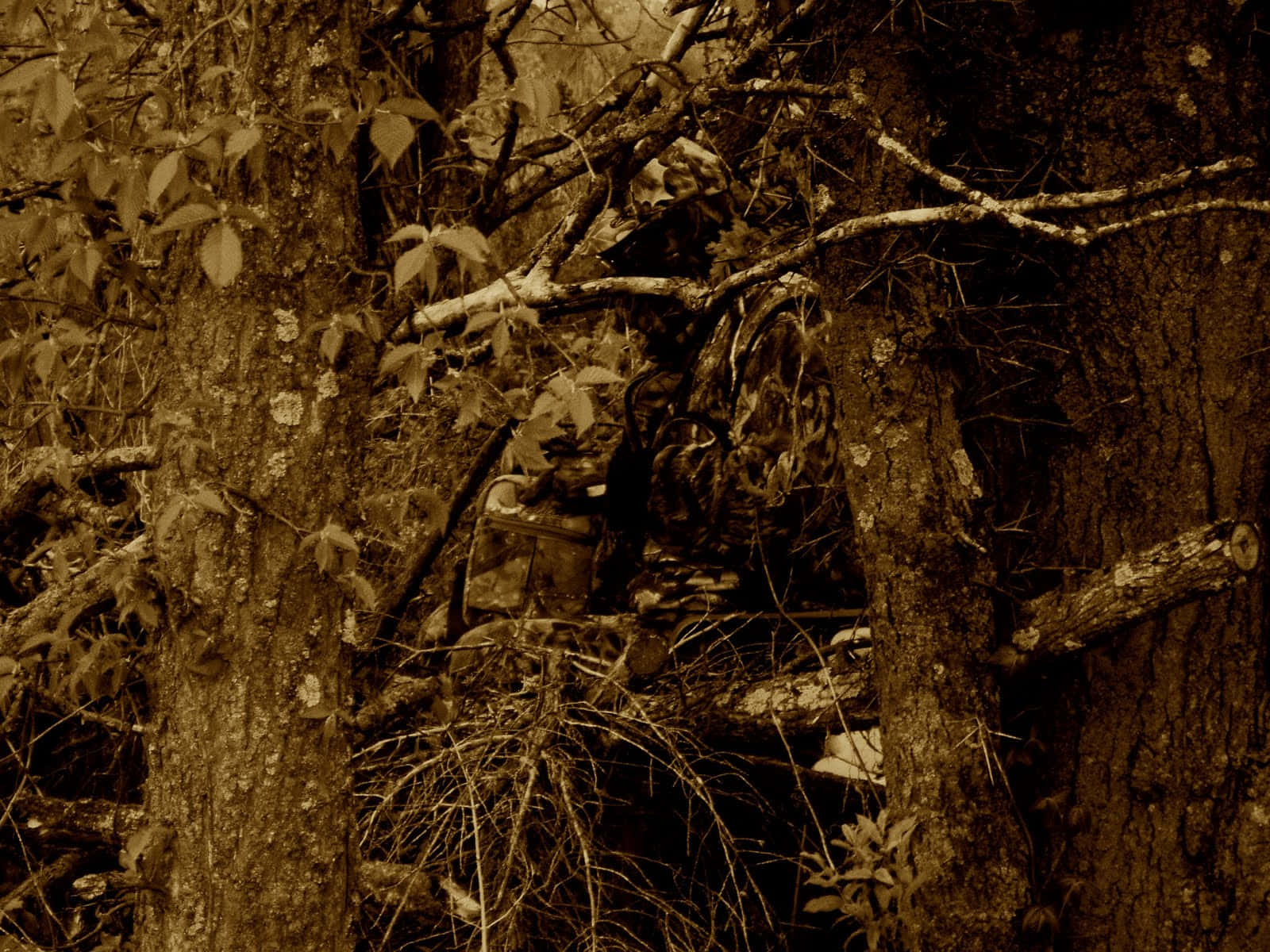 Get Ready For Hunt With Hunting Camo!