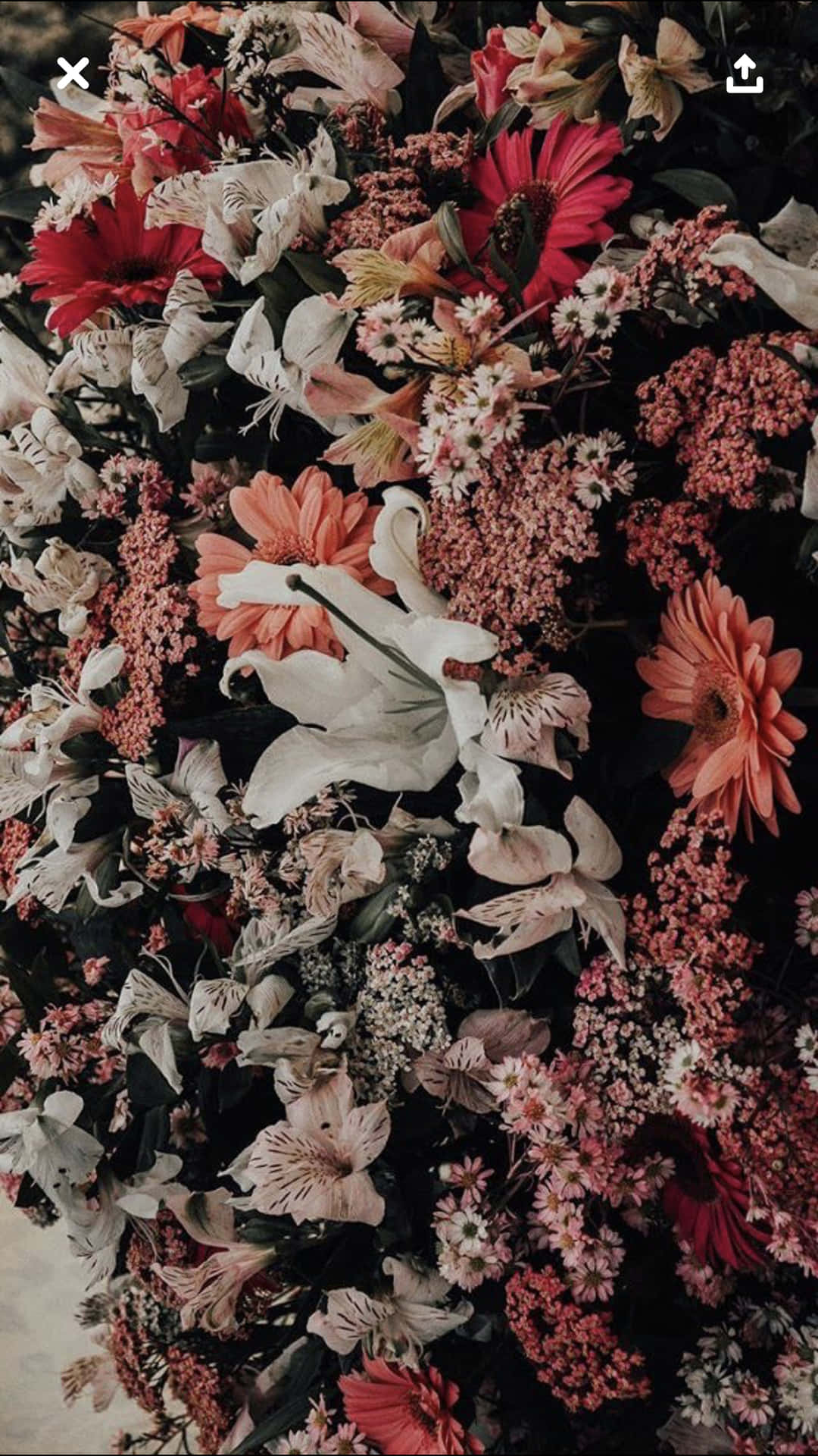 Get Ready For Spring With A Floral Aesthetic Iphone