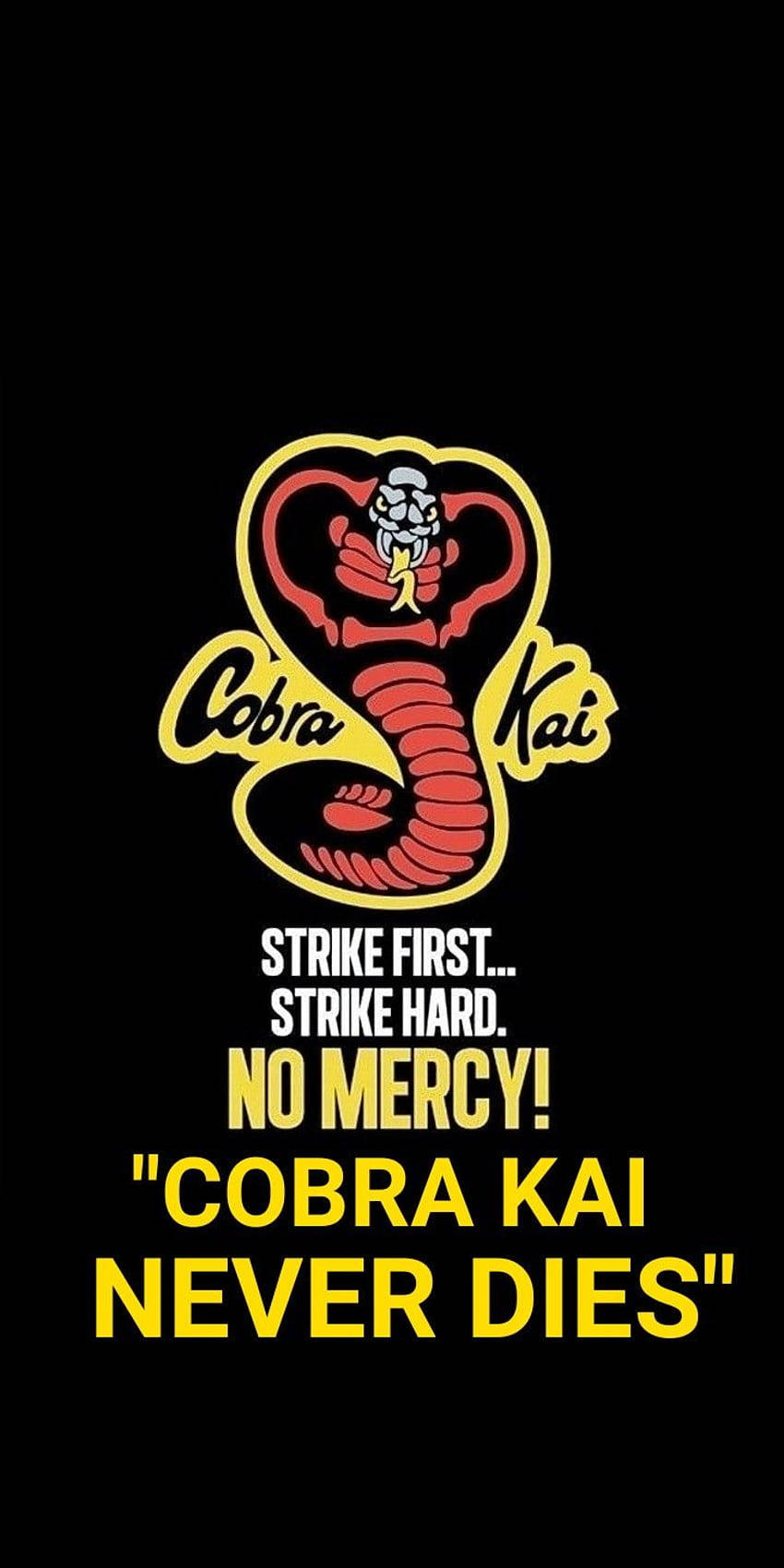 Get Ready For The Dojo Life With The Cobra Kai Phone Background