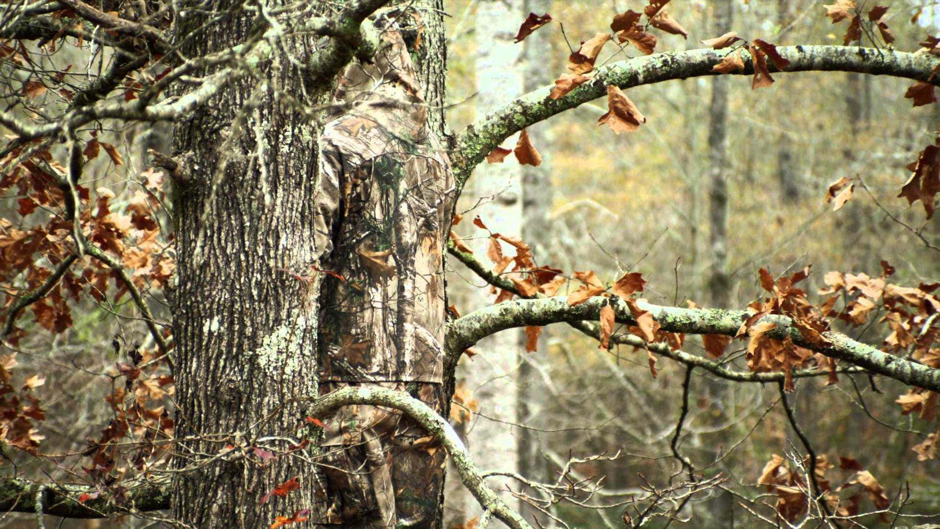 Get Ready For Your Next Hunting Trip With The Newest In Camouflage Fashion. Background