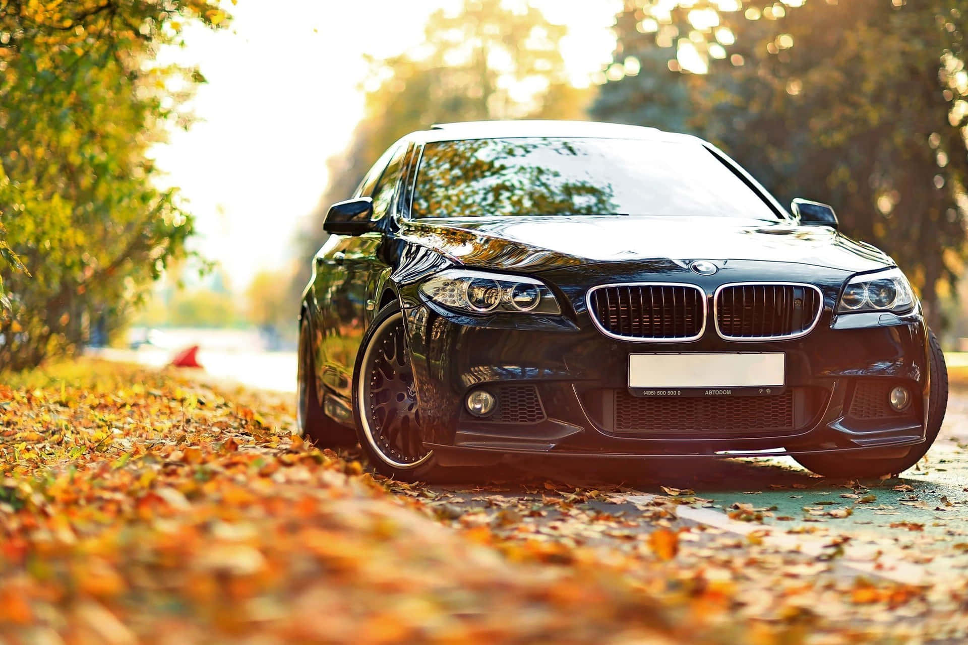 Get Ready To Explore The World In The Luxury Of Bmw Background