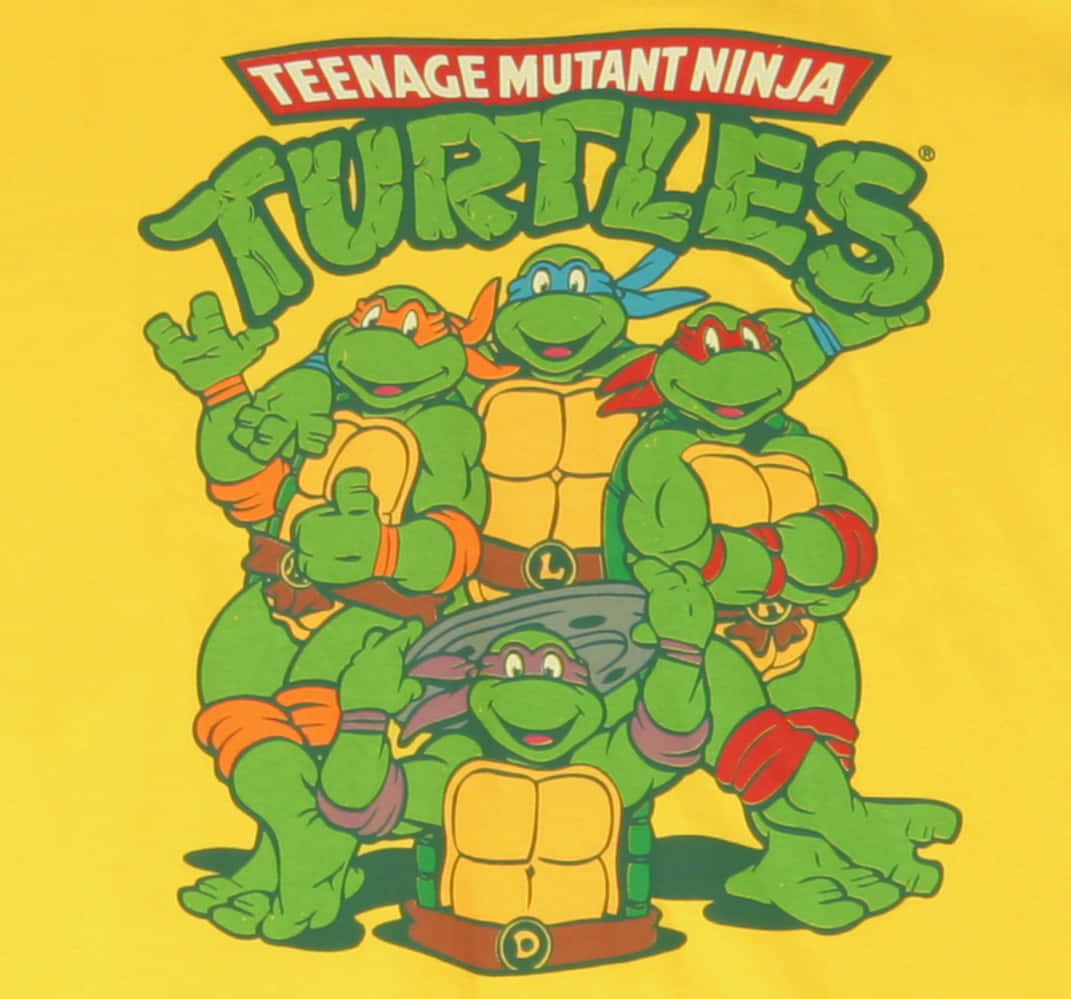 Get Ready To Join The Teenage Mutant Ninja Turtles Background