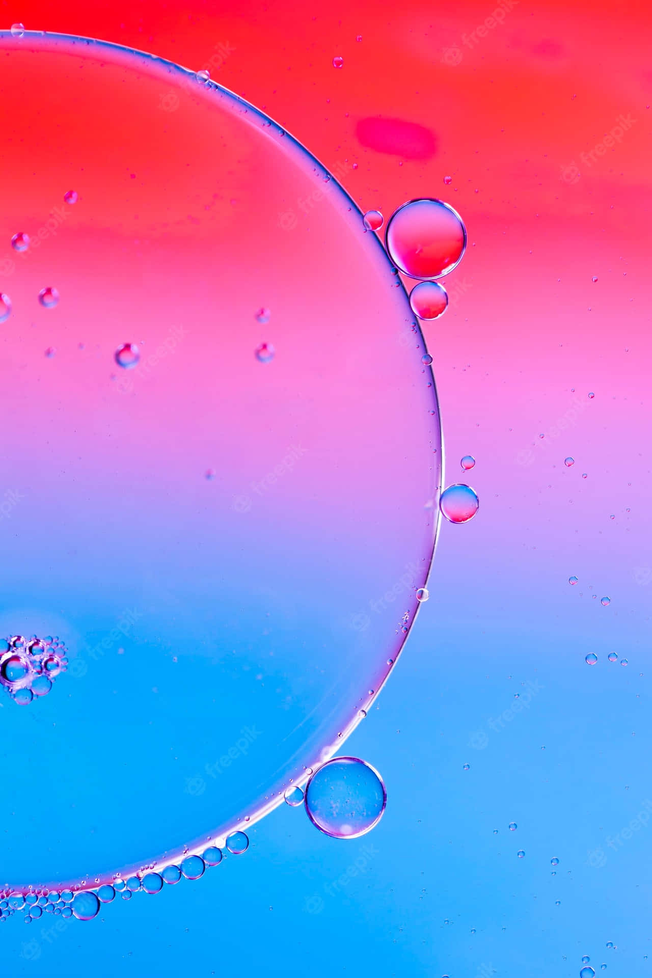 Get Ready To Make Conversation And Explore The World With Bubbles Phone! Background