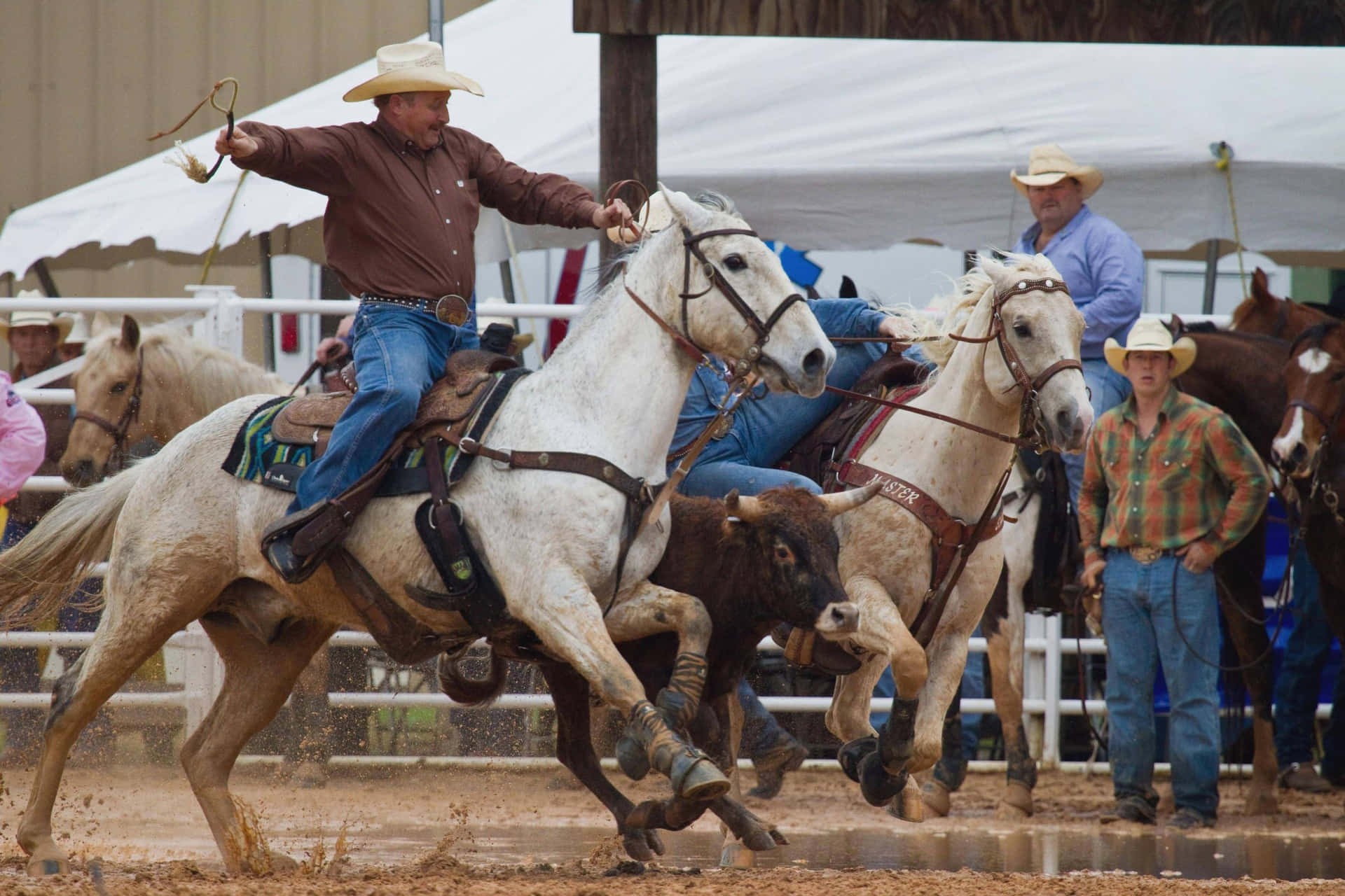 Get Ready To Ride - Rodeo Cowboys Showcase Their Riding Skills Background