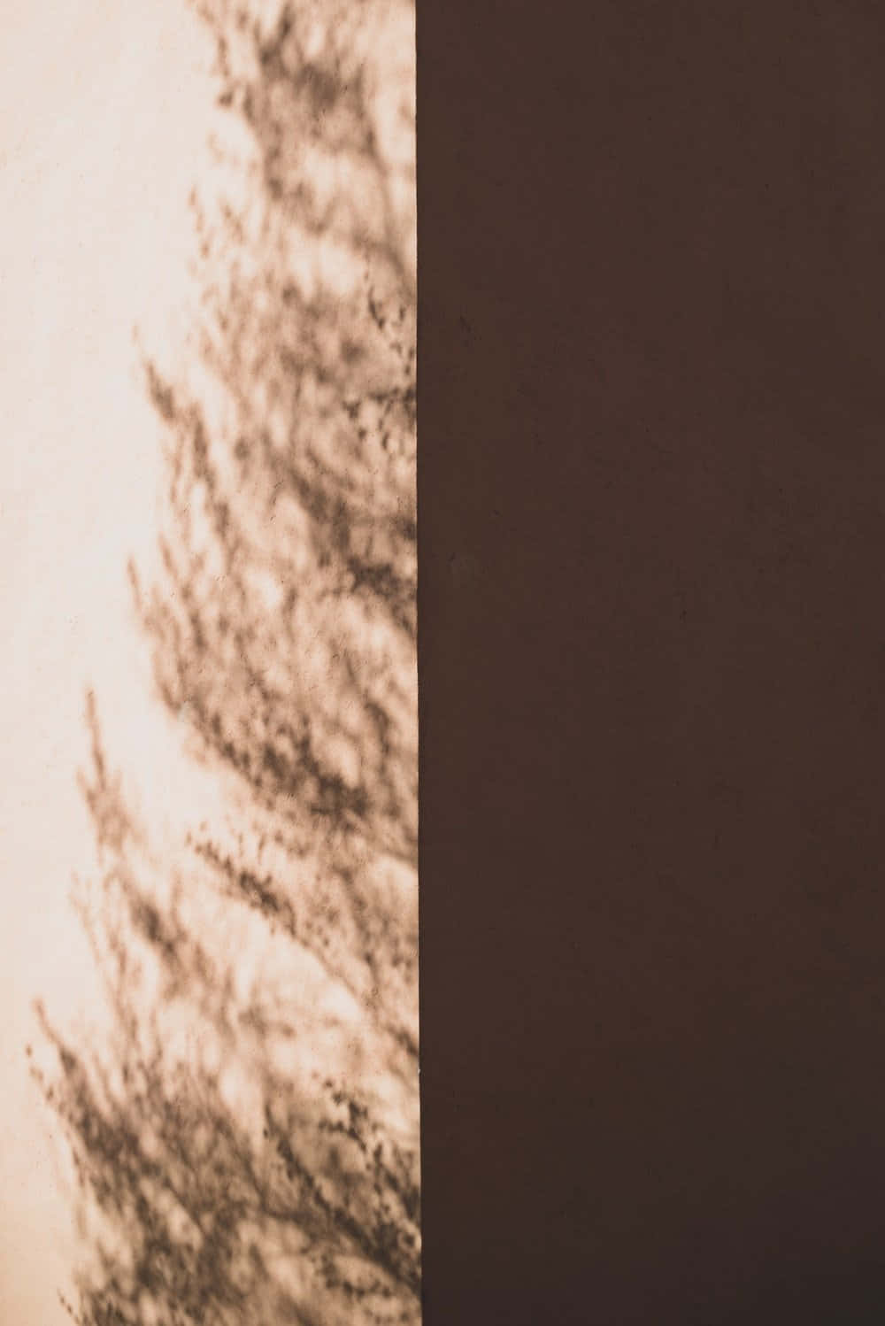 Get Ready To Turn Heads With The New Dark Brown Iphone Background