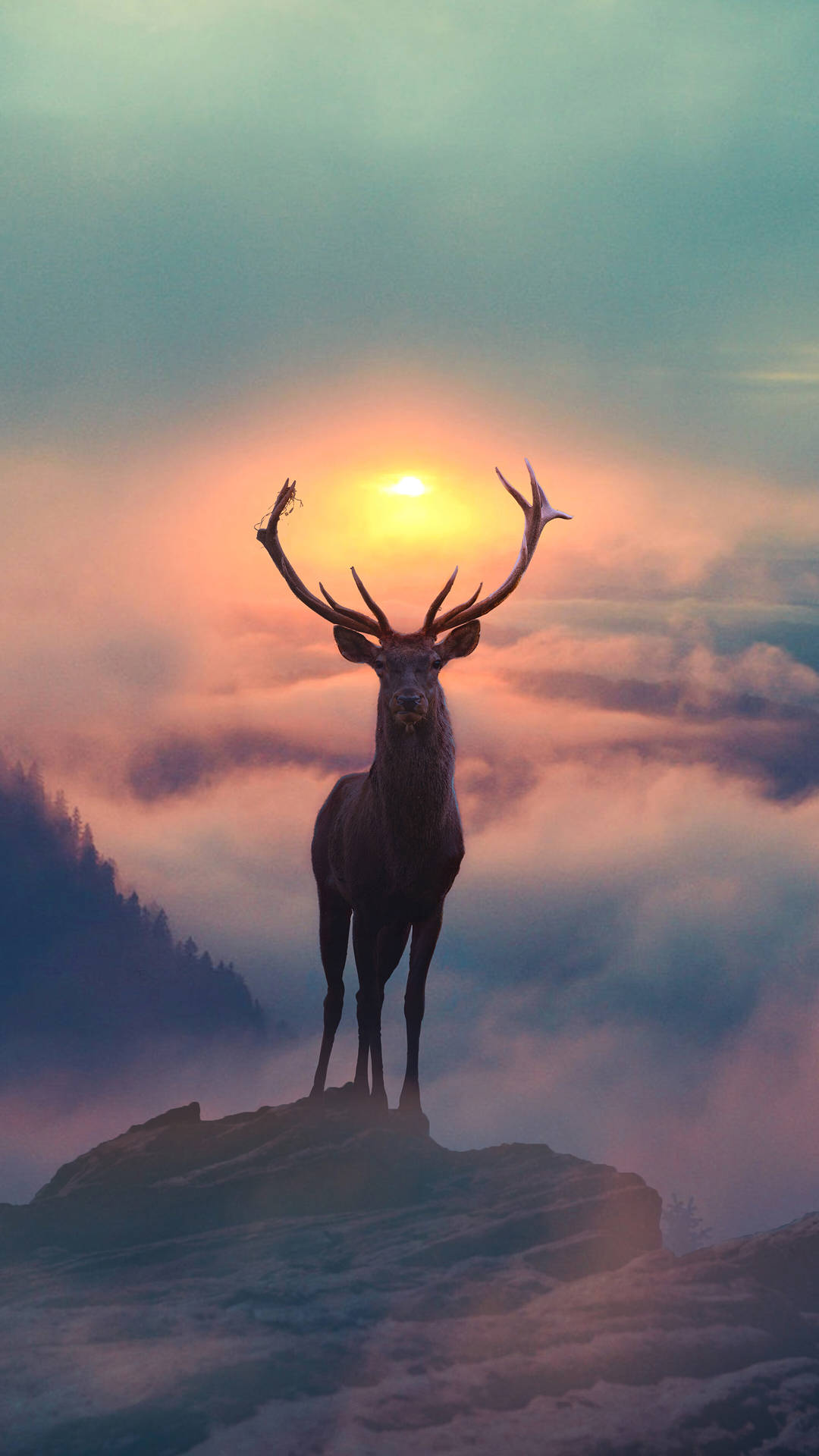 Get Ready To Upgrade: The Deer Iphone Background