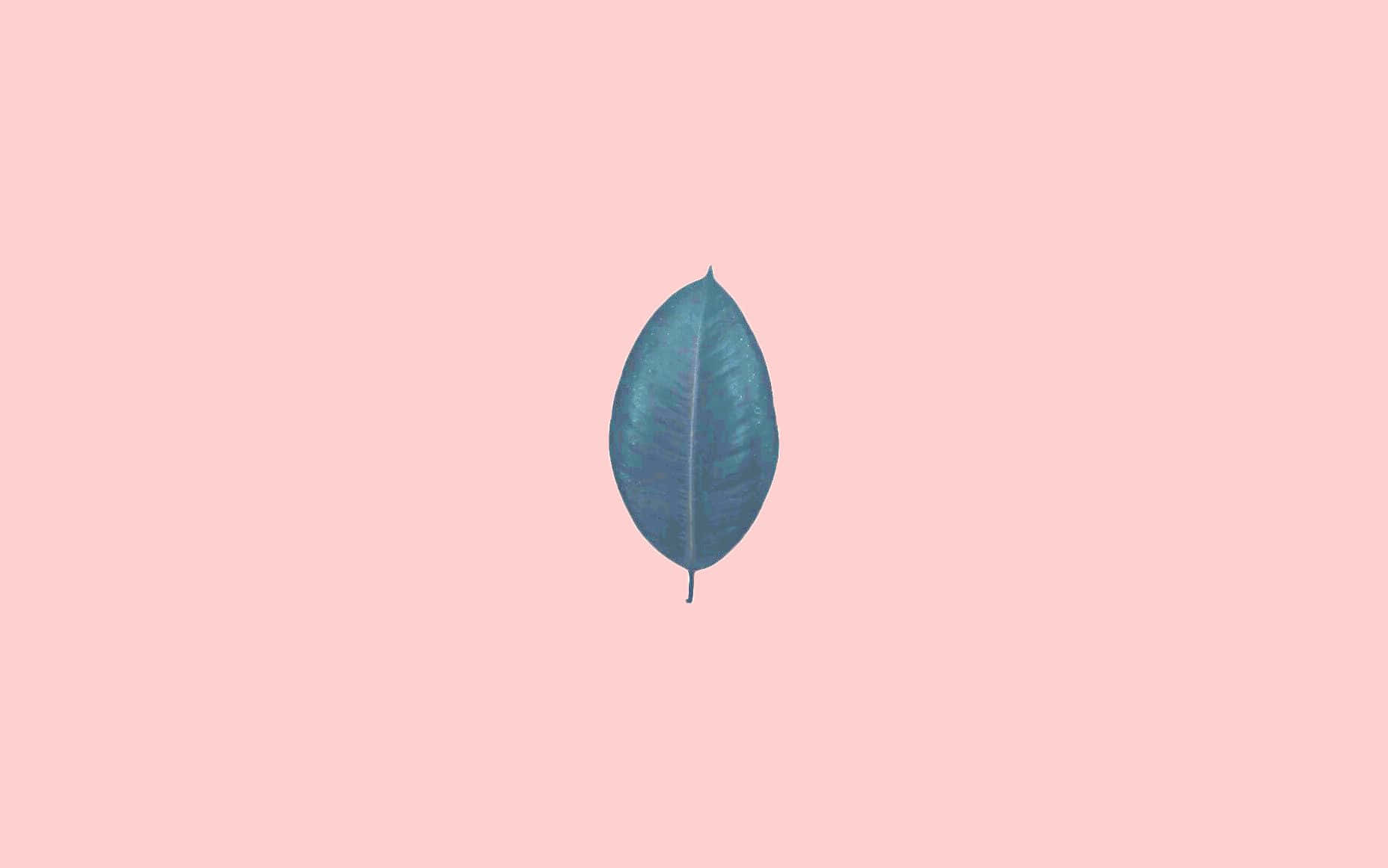 Get Ready To Work With A Colorful Pink Laptop Background