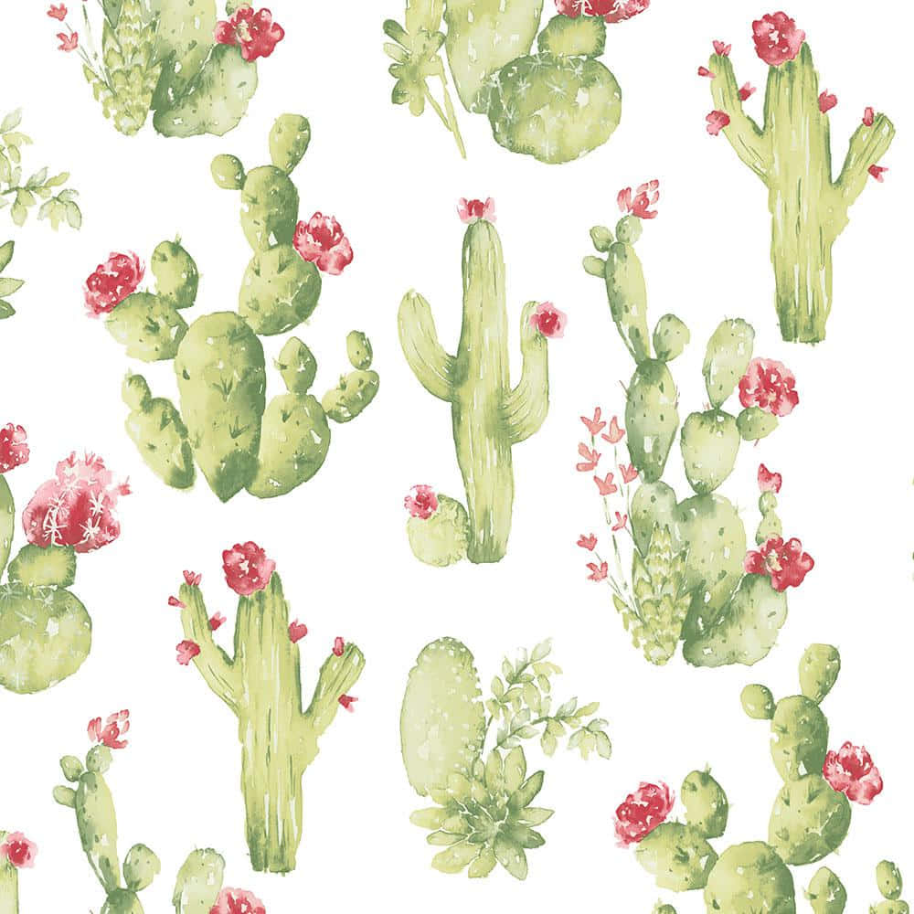Get Some Prickly Joy In Your Life With These Cute Cacti! Background