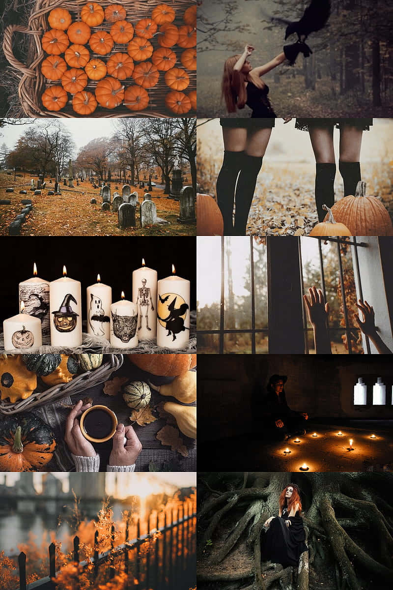 Get Swept Up In The Spooky Spirit Of Halloween With This Enchanting Witch Aesthetic. Background