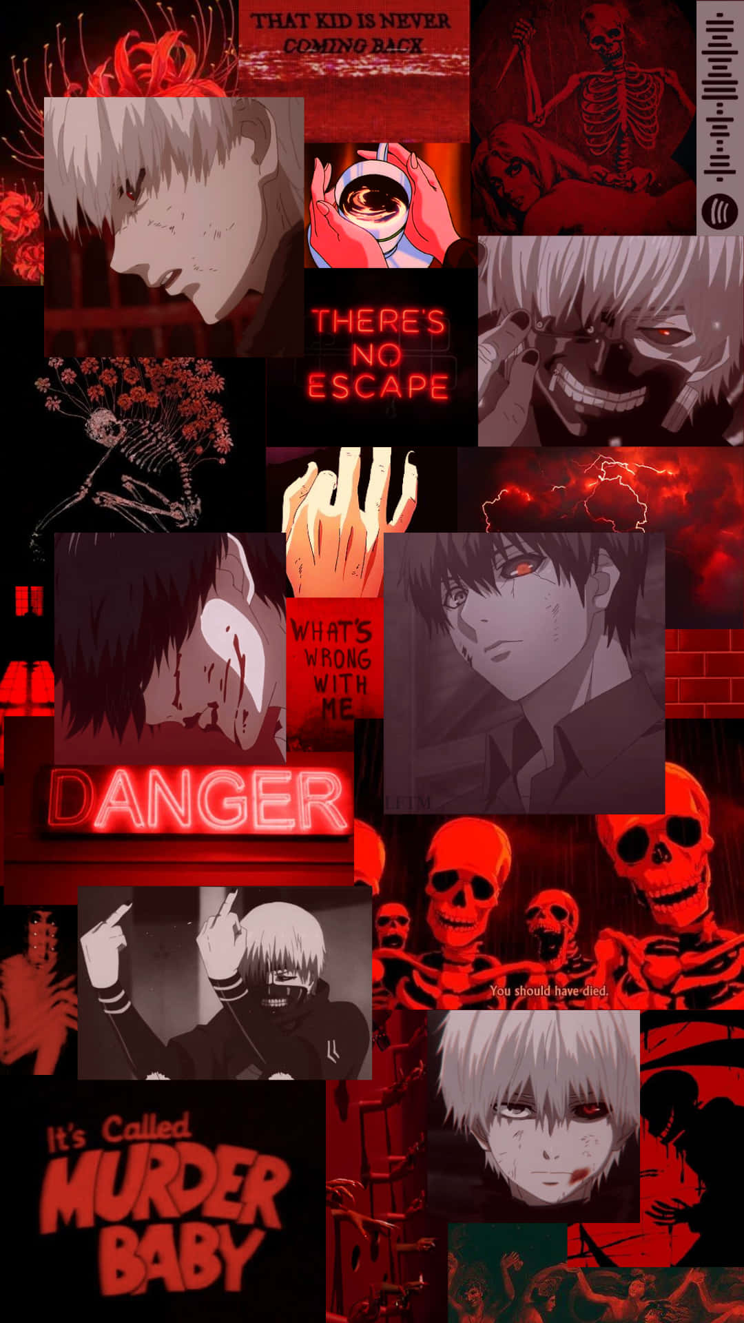 Get The Best Of Both Worlds With Kaneki Phone Background