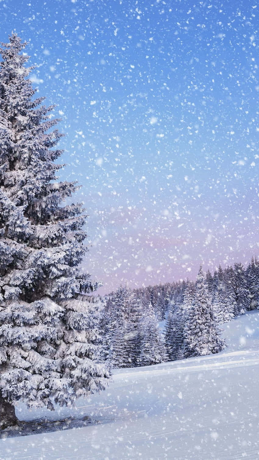 Get The Festive Feeling - Enjoy A Magical Christmas Winter Wonderland Background