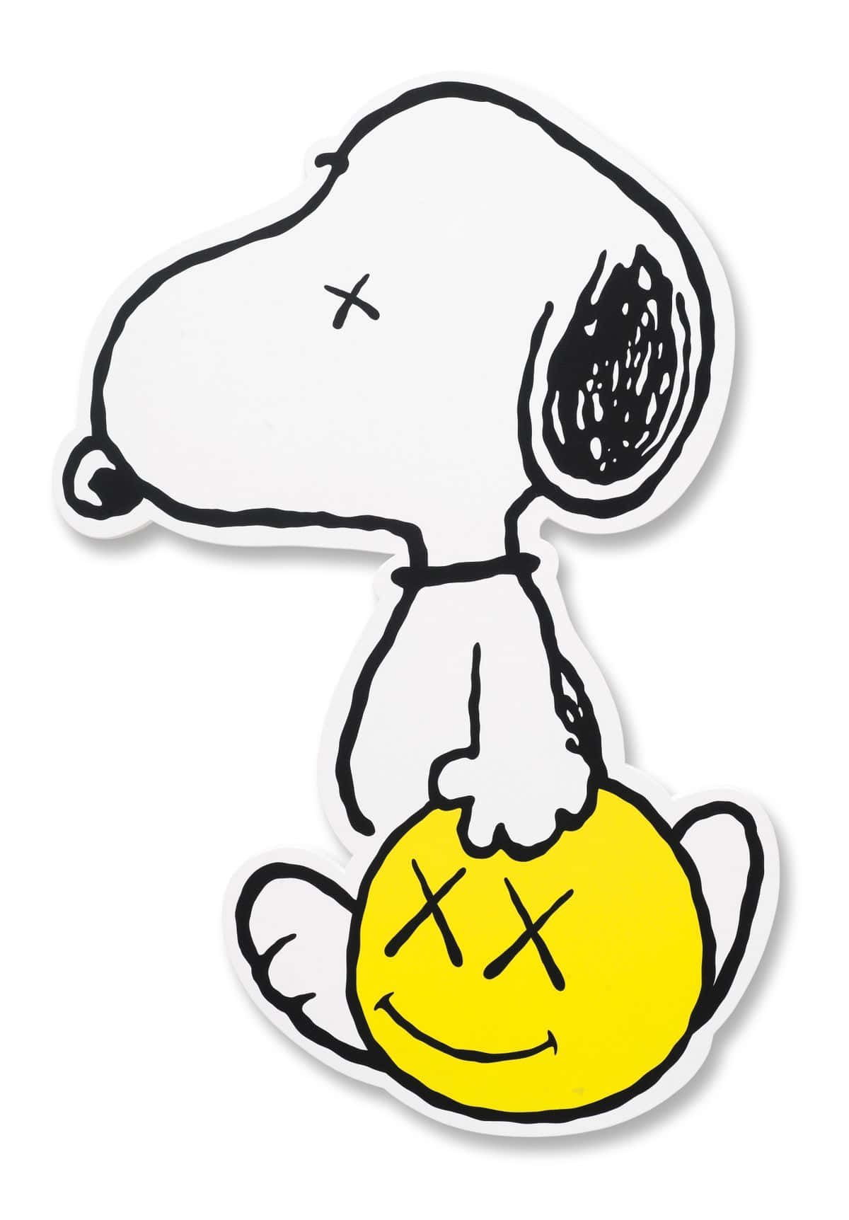 Get The Latest Kaws Iphone To Stay Ahead Of The Curve. Background