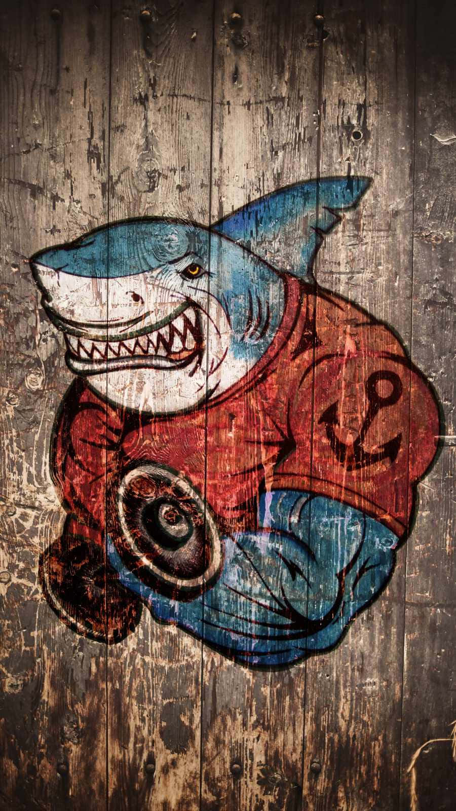 Get The Latest Range Of Iphones With The Shark Look! Background