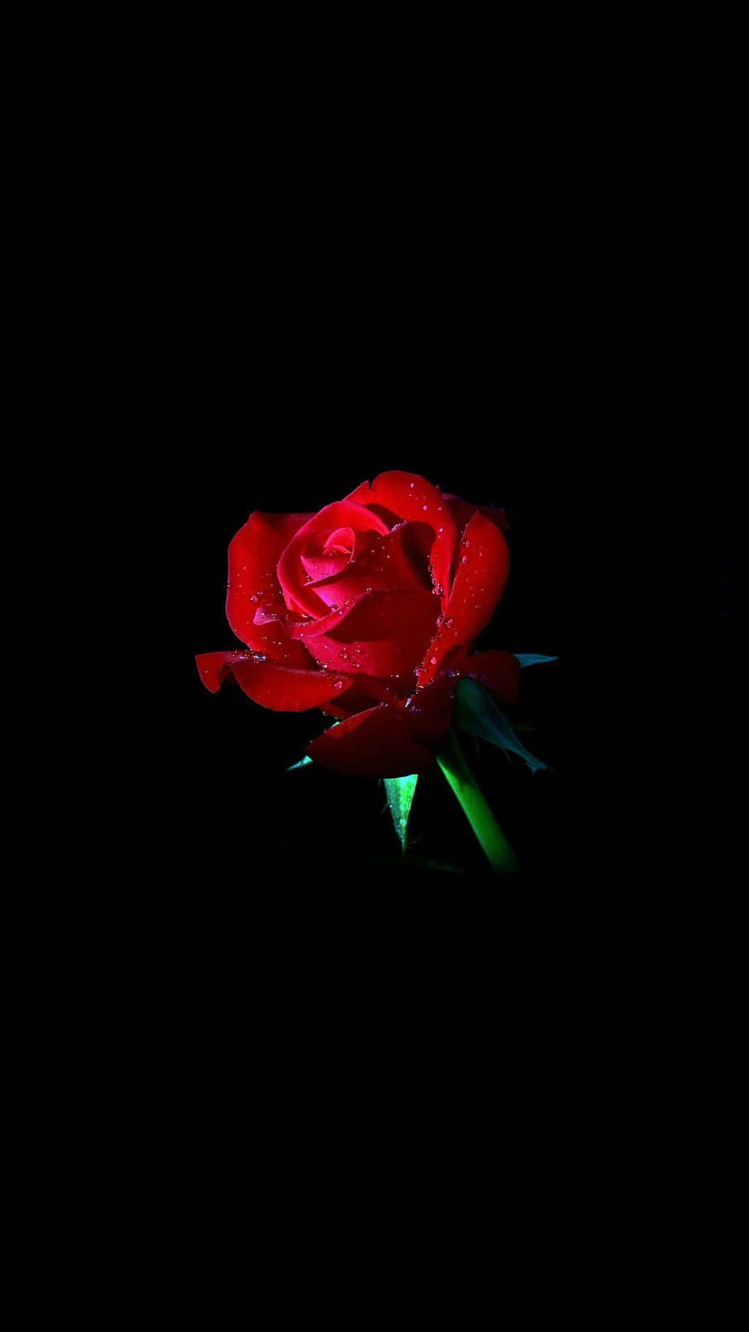 Get The Latest Technology With This Dark Cute Ipad. Background