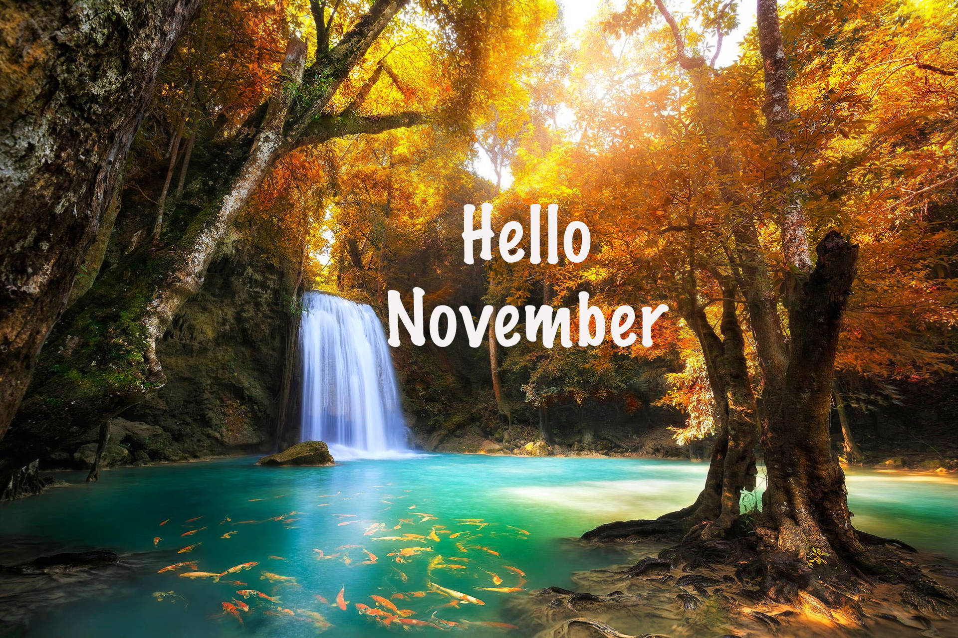 Get The Most Out Of Your November With The Sophisticated Yet Stylish Iphone. Background