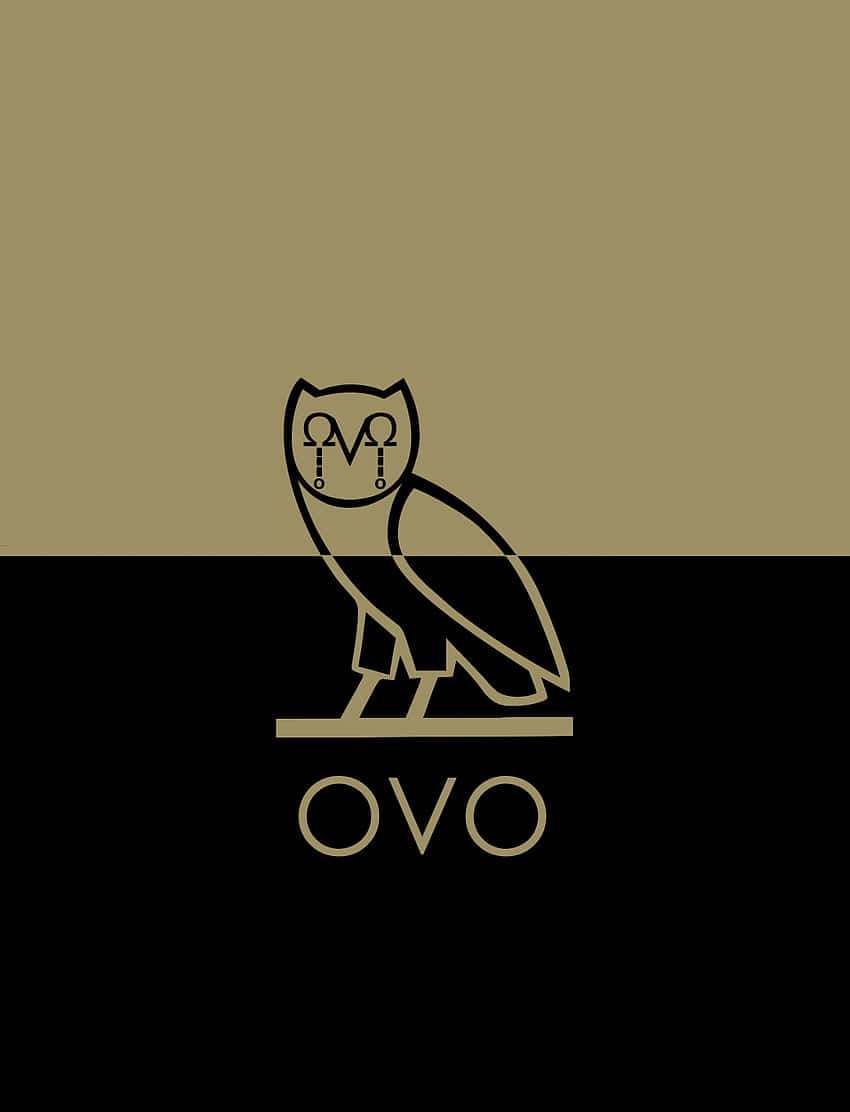 Get The Ovo Owl Drake Iphone Wallpaper Background