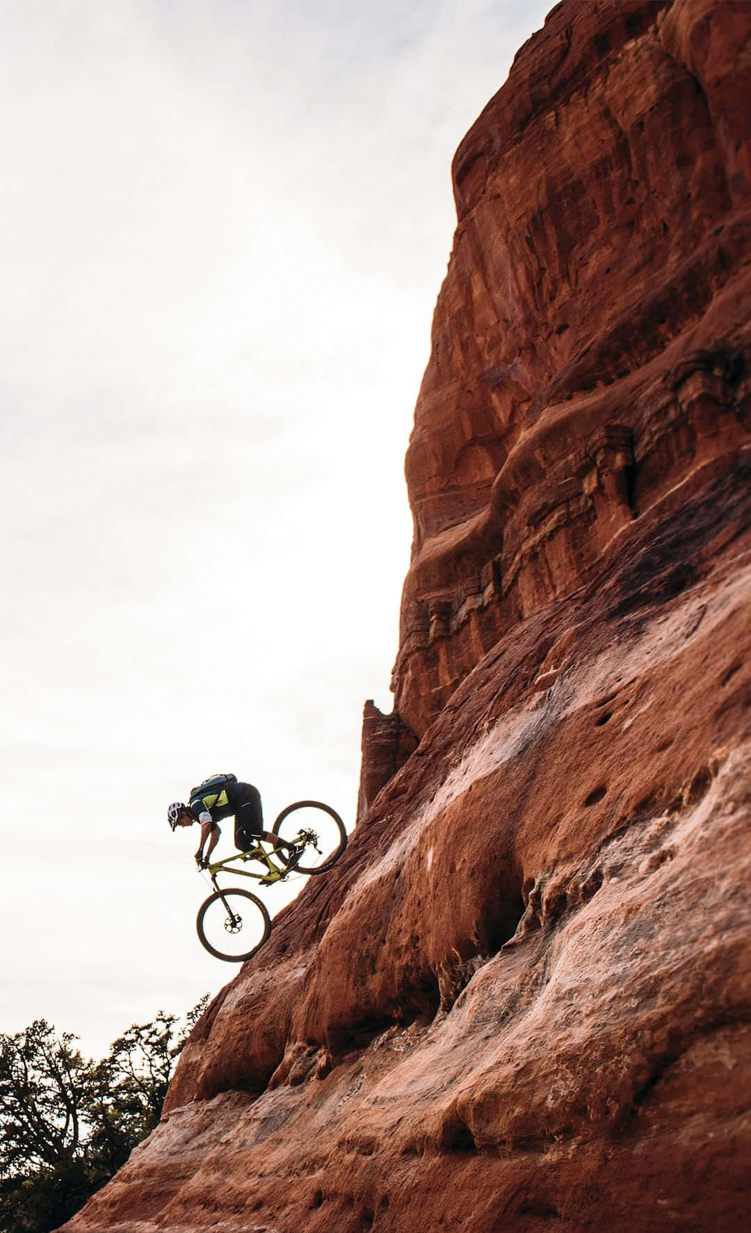 Get The Rush With A Mountain Bike On Ragged Terrain!
