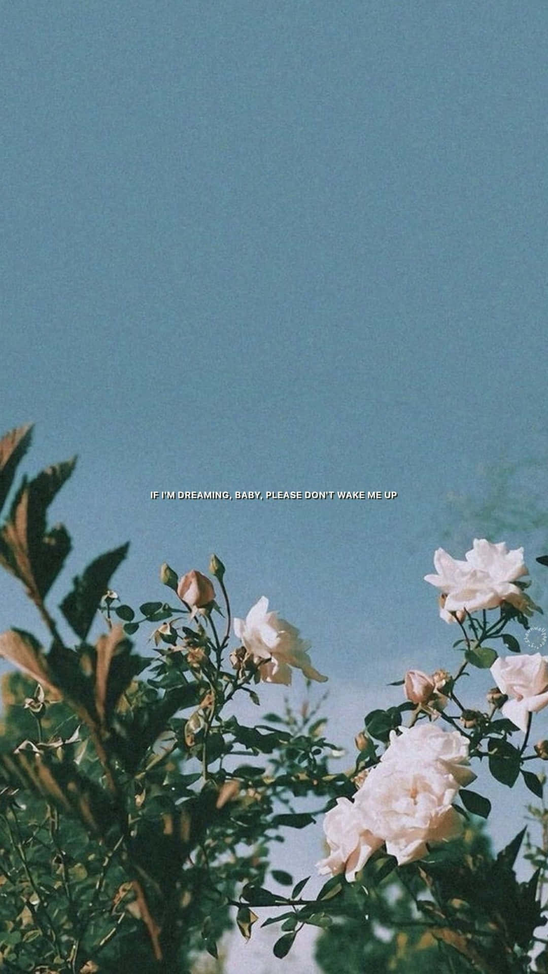 Get The Vintage Girl Look With This Cool Aesthetic. Background