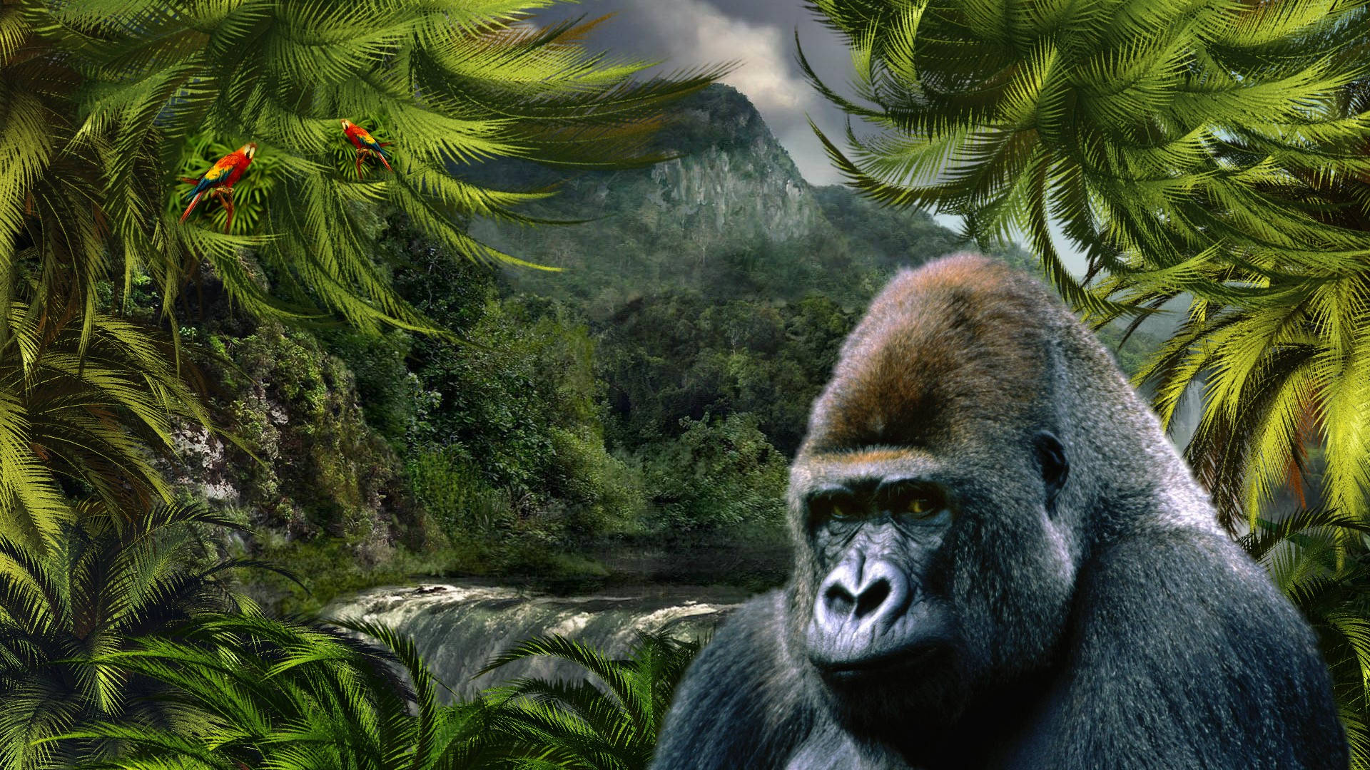 Get Up Close To A Beautiful Gorilla With These Wallpapers. Background