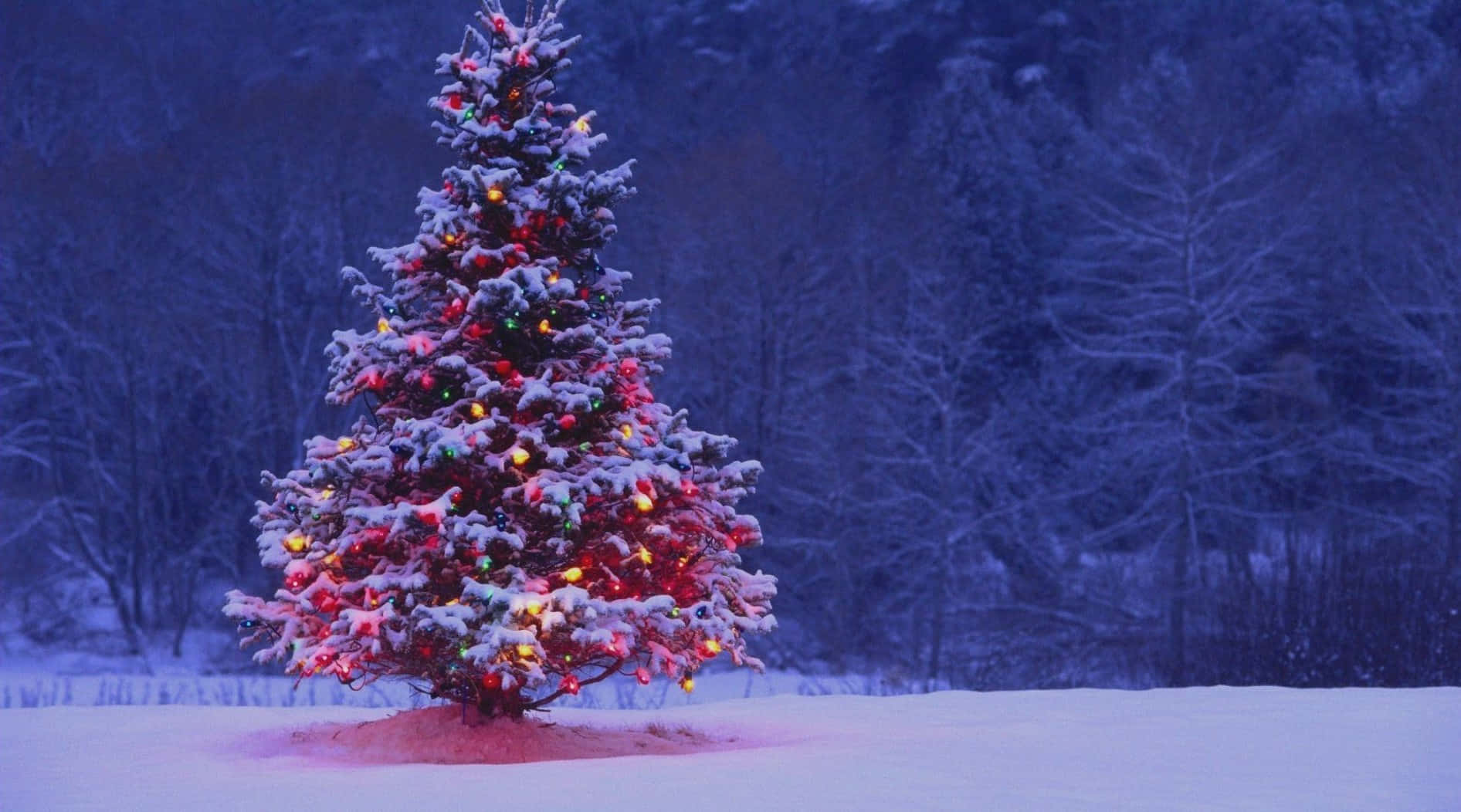 Get Your Christmas Aesthetic On With This Computer!