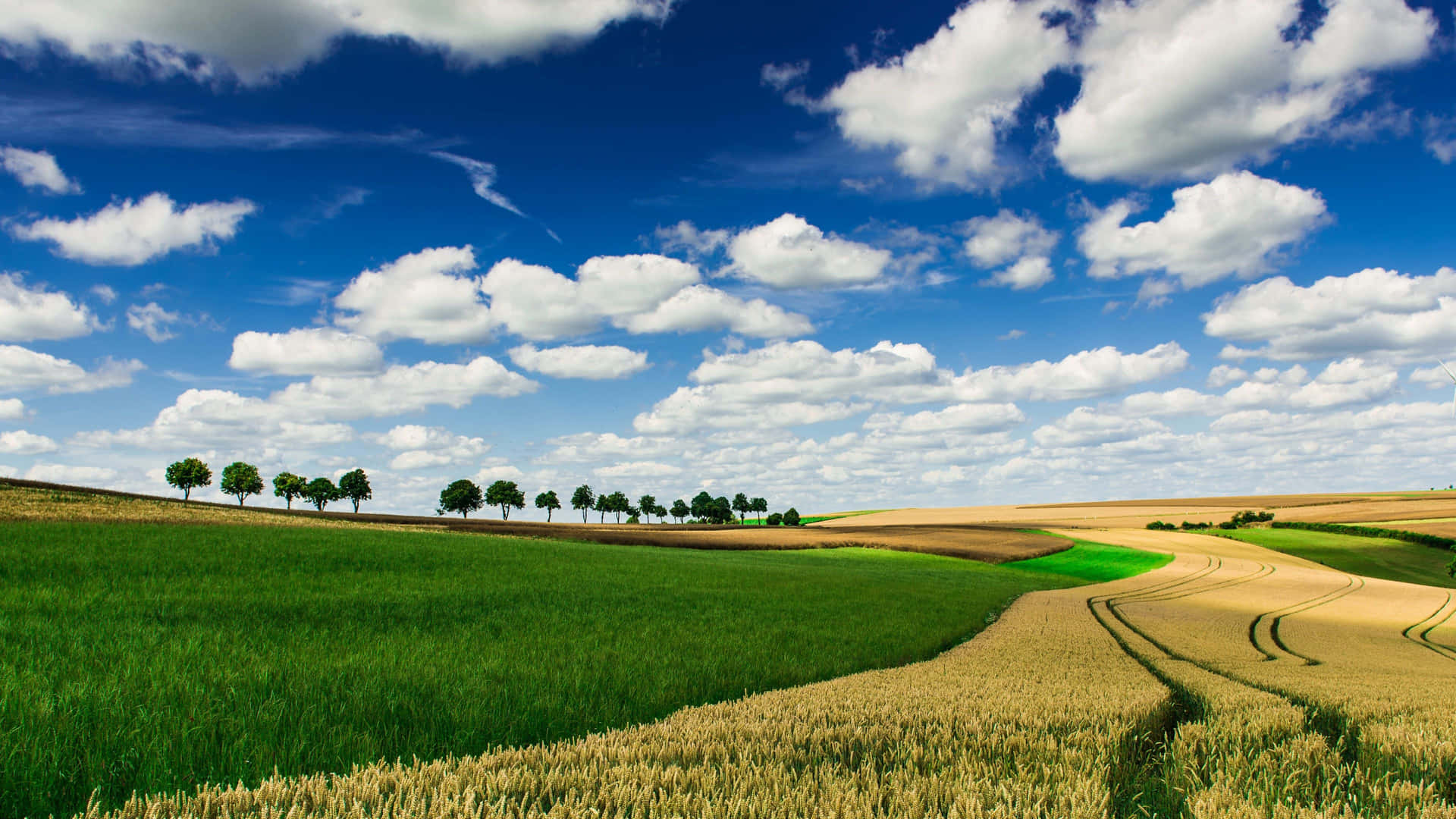 Get Your Cool Farming On. Background