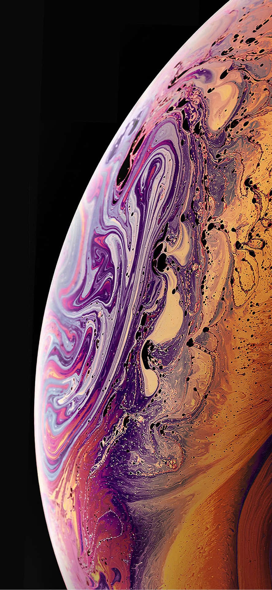 Get Your Hands On The Latest Iphone Xr Background