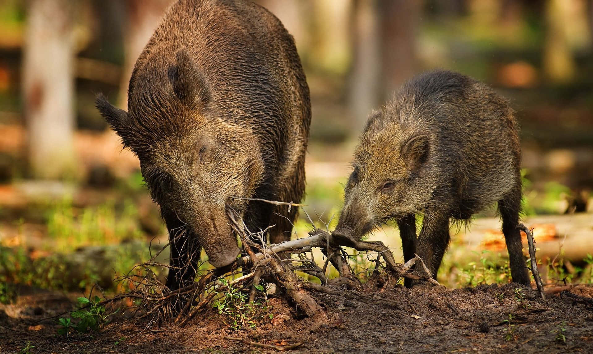 Get Your Motor Running