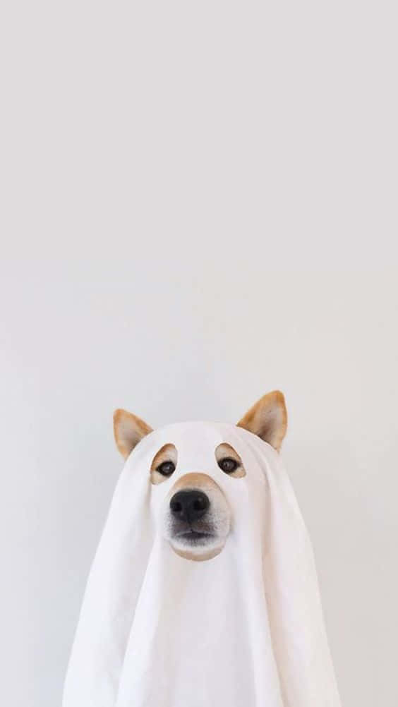 Ghost Dog Iphone Background