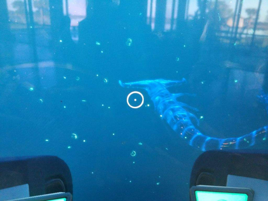Ghost Leviathan Sighting Background