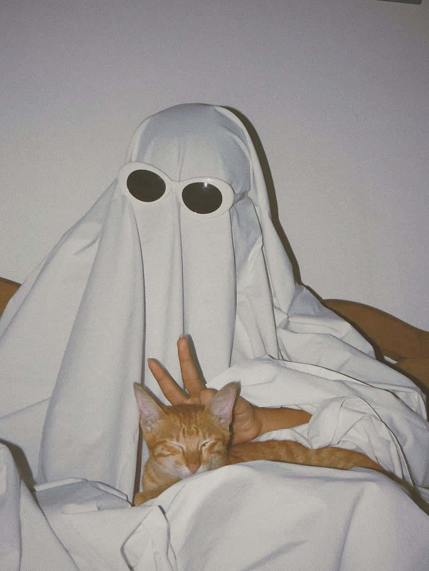 Ghost With Cat Funny Pfp For Tiktok Background