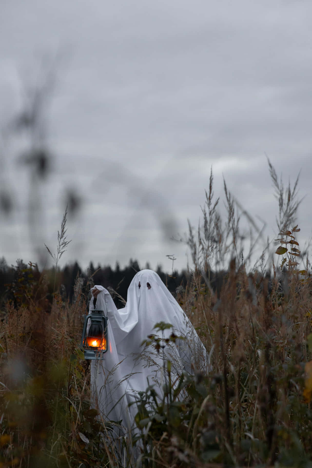 Ghostly Figurein Autumn Field.jpg Background
