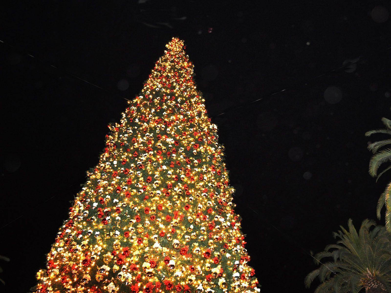 Giant Christmas Tree With Pretty Lights Background