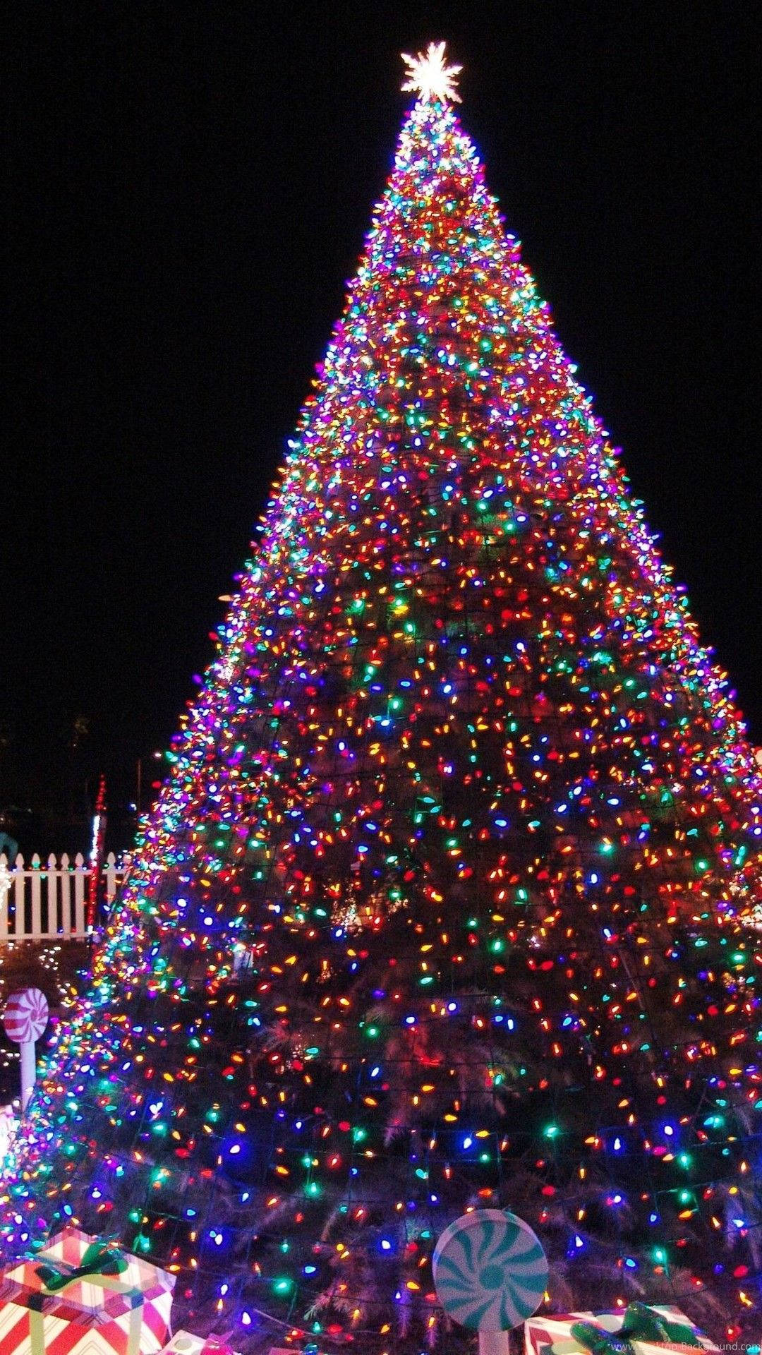 Giant Cute Aesthetic Christmas Tree