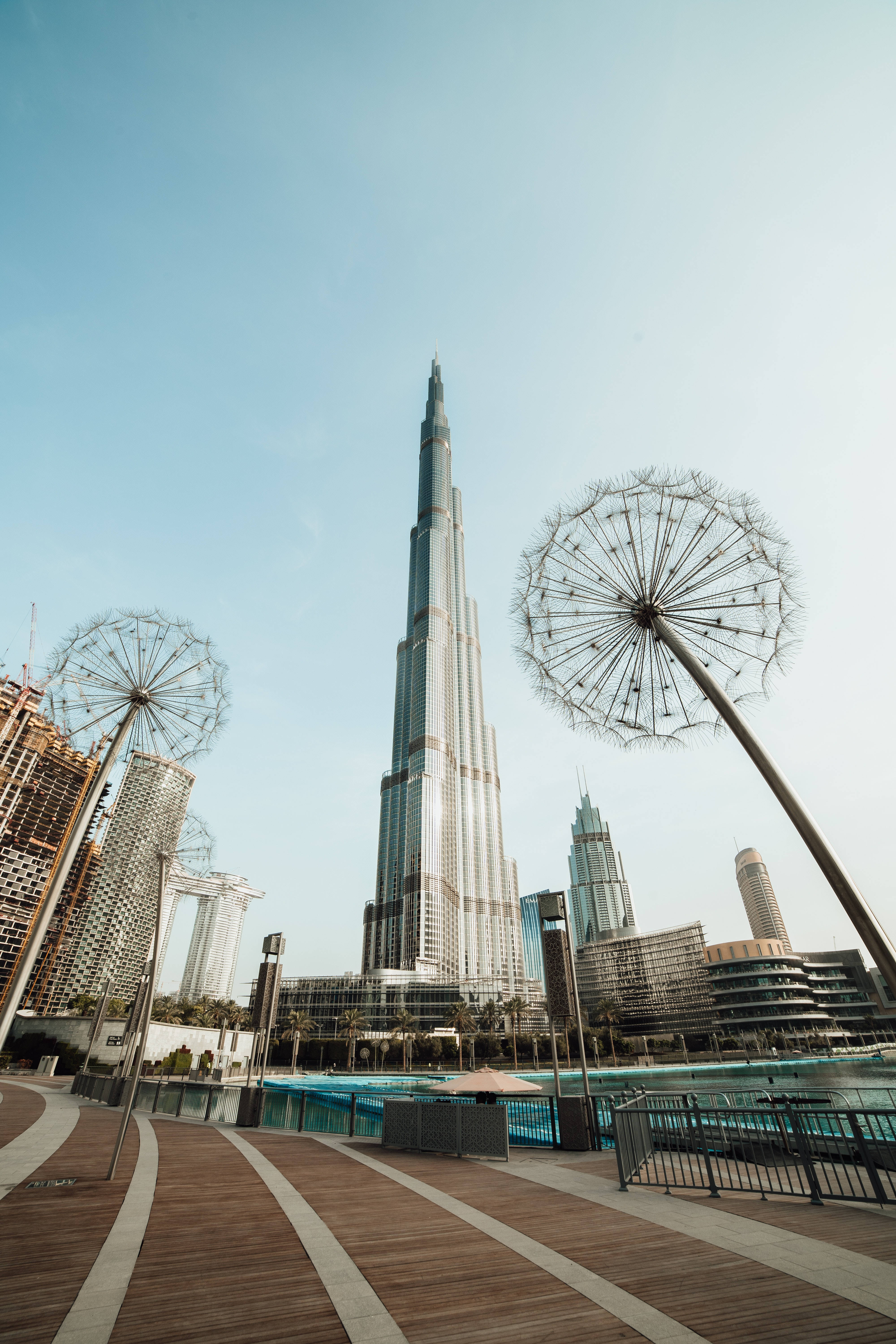 Giant Dandelions At Burj Khalifa Background