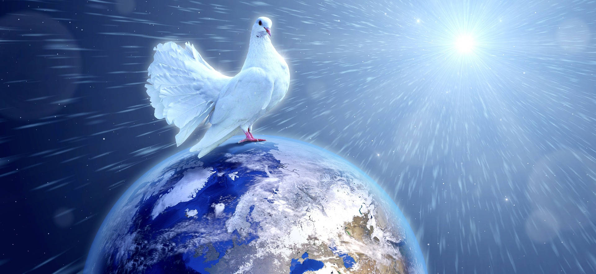 Giant Dove For World Peace Background