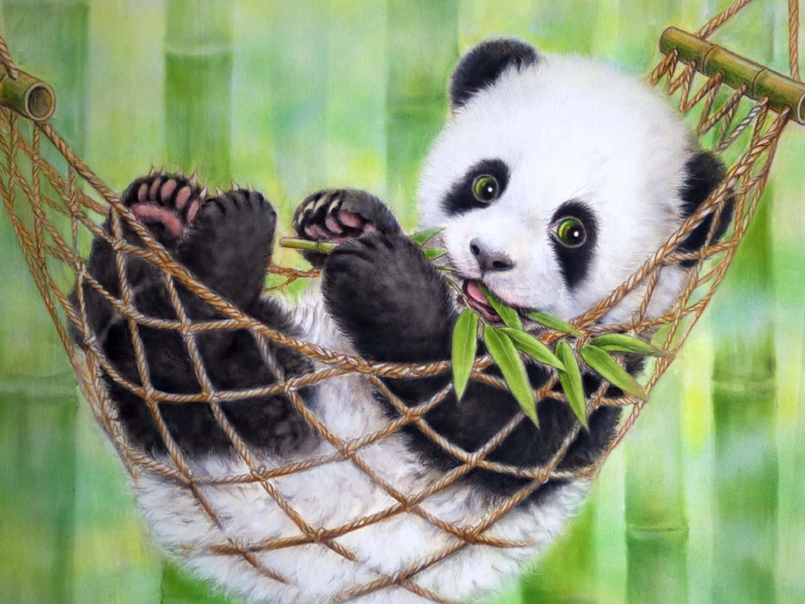 Giant Panda Relaxing On Hammock