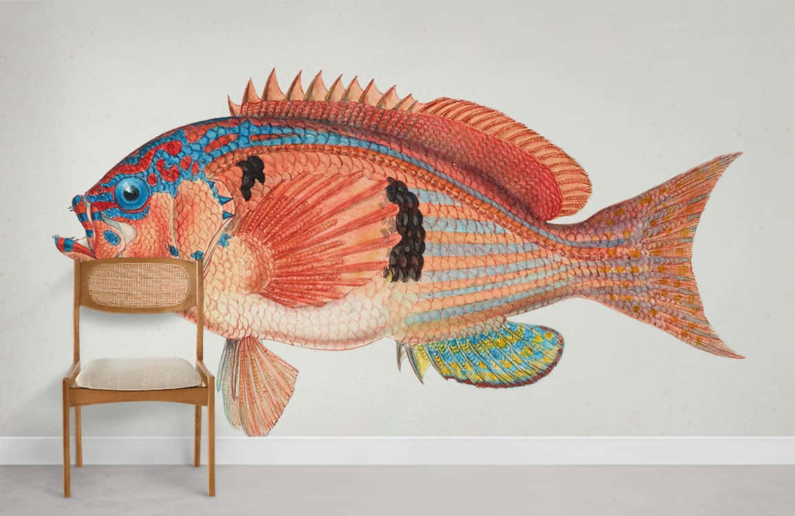 Giant Red Snapper Artwork