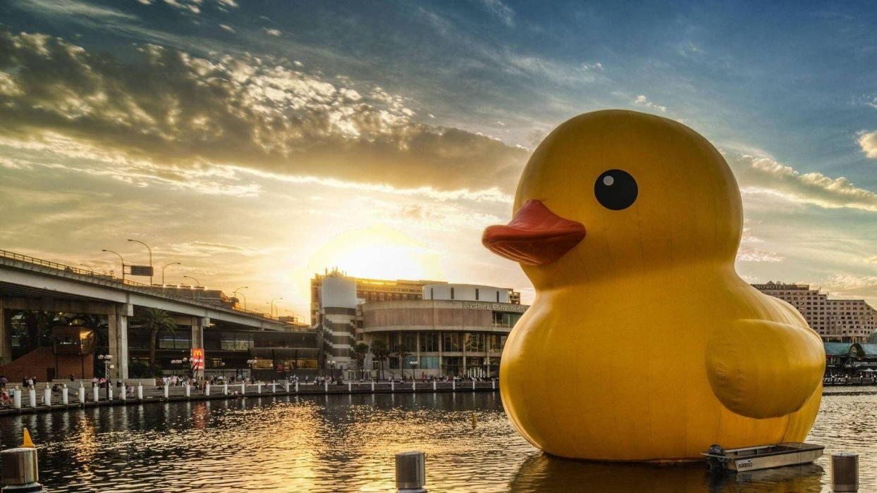 Giant Rubber Duck Background