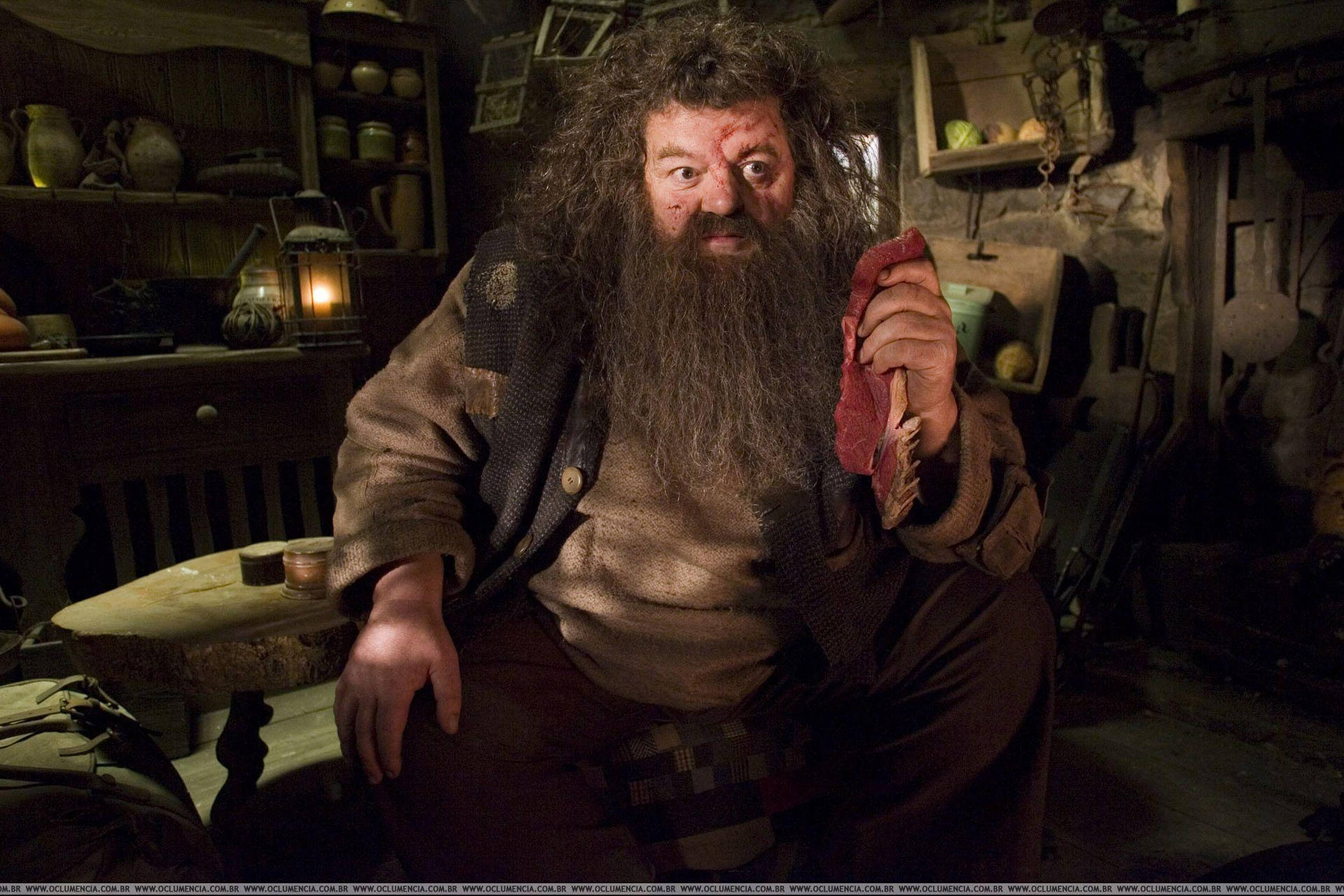 Giant Rubeus Hagrid Background