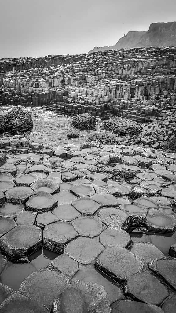 Giant's Causeway Black And White