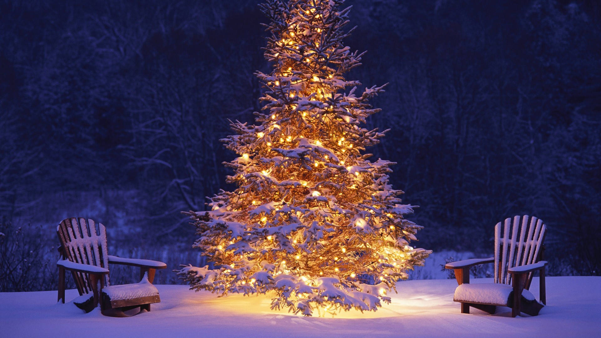Giant Snowy Tree Merry Christmas Hd Background