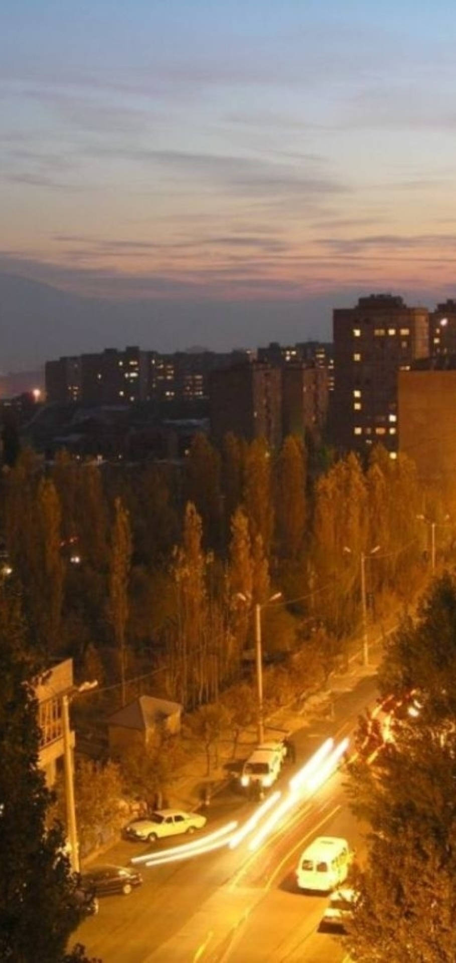 Giant Trees In Yerevan Background