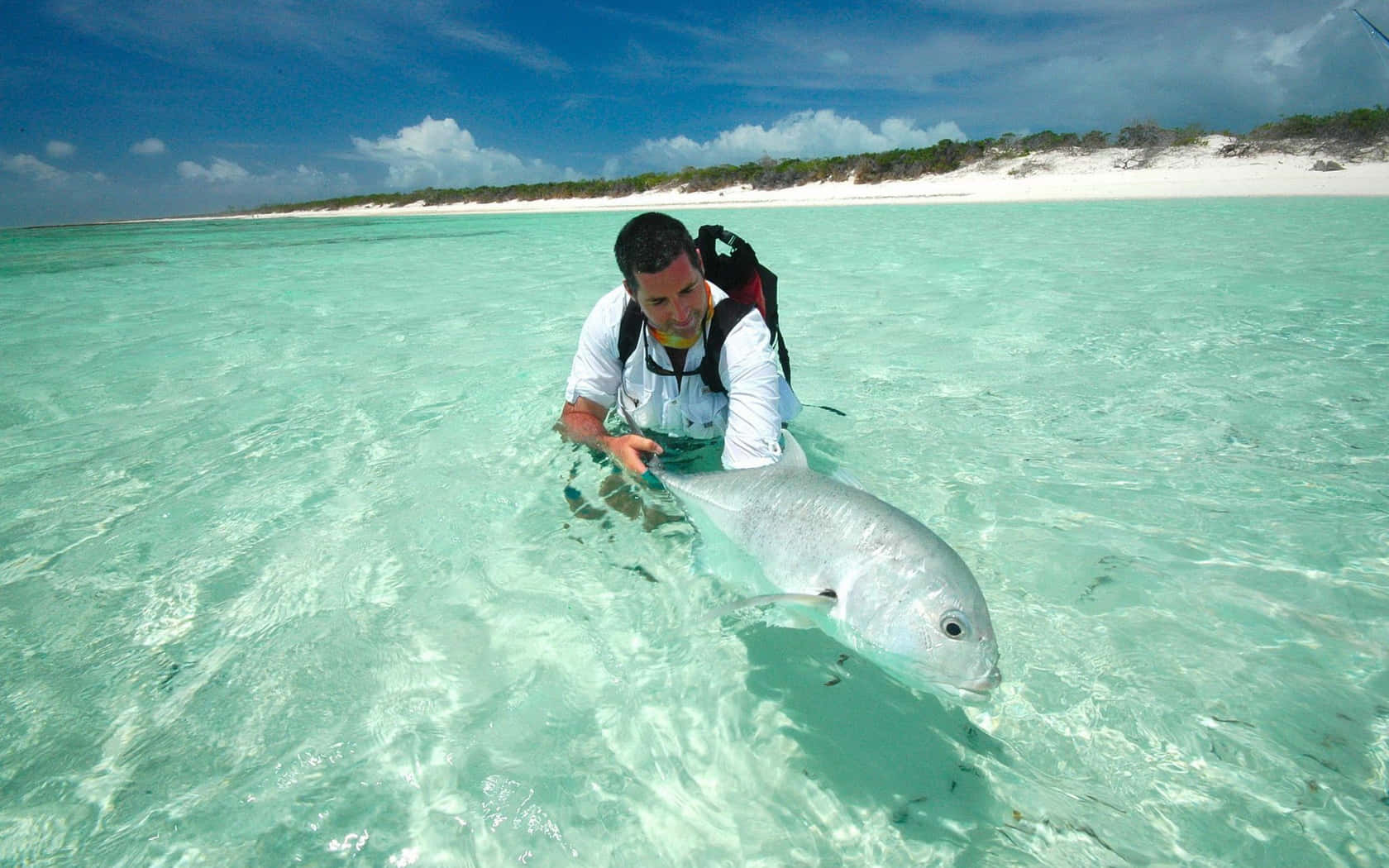 Giant Trevally On Shallow Ocean