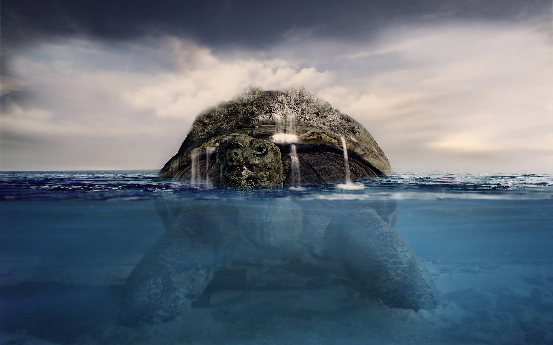 Gigantic Cool Turtle In The Sea Background